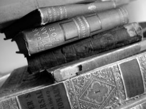 © Sarah Klockars-Clauser for openphoto.net